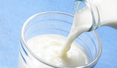 TOPLANAN İNEK SÜTÜ MİKTARI YÜZDE 1,6 AZALDI