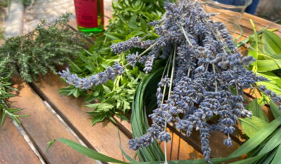 UZMANINDAN SİVRİSİNEKLERDEN KORUNMANIN ‘DOĞAL’ YOLLARI