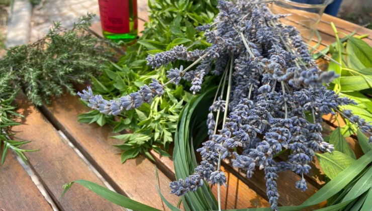 UZMANINDAN SİVRİSİNEKLERDEN KORUNMANIN ‘DOĞAL’ YOLLARI