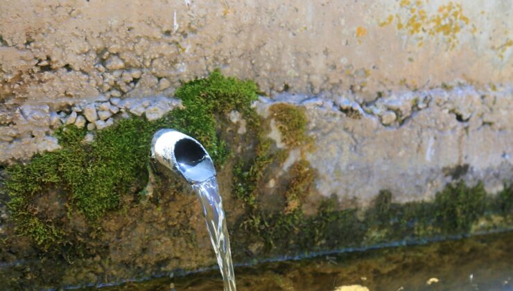 ARDIÇ KOKULU SU ŞİFA DAĞITIYOR