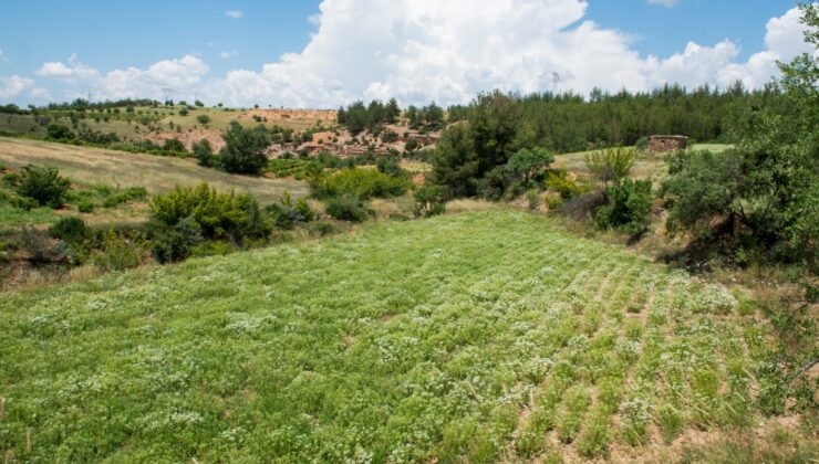 KEKİK ÜRETİM MERKEZİ DENİZLİ, ROL MODEL OLDU