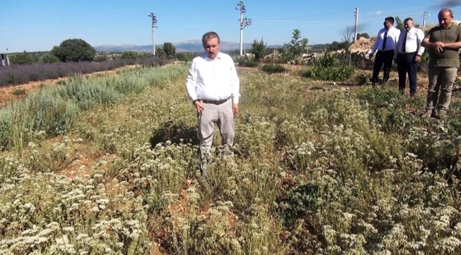 DESTİCİ: “MUHALEFETİN ELİNDE KOZ BIRAKMAYACAĞIZ”