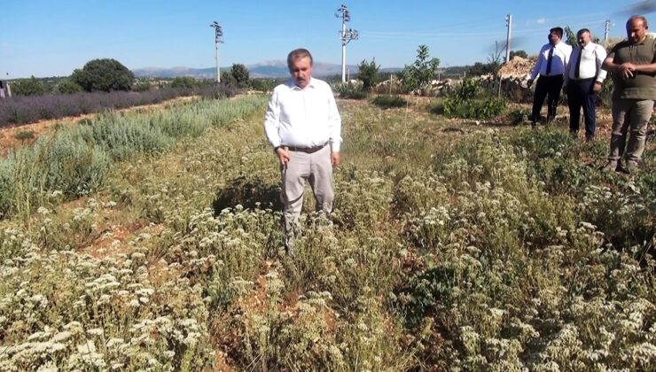 DESTİCİ: “MUHALEFETİN ELİNDE KOZ BIRAKMAYACAĞIZ”