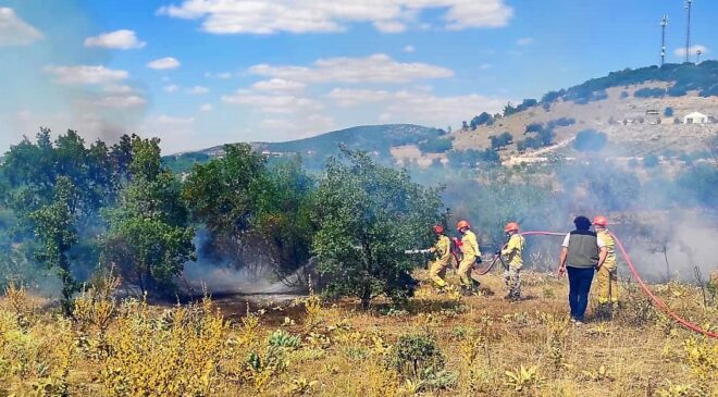 15 DEKARLIK ORMANLIK ALAN KÜLE DÖNDÜ