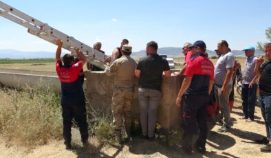 Sulama kanalında boğulan Hakkı’nın akrabası Sezer Bardan: “Küçük yaşta onu kaybetmek üzücü oldu”