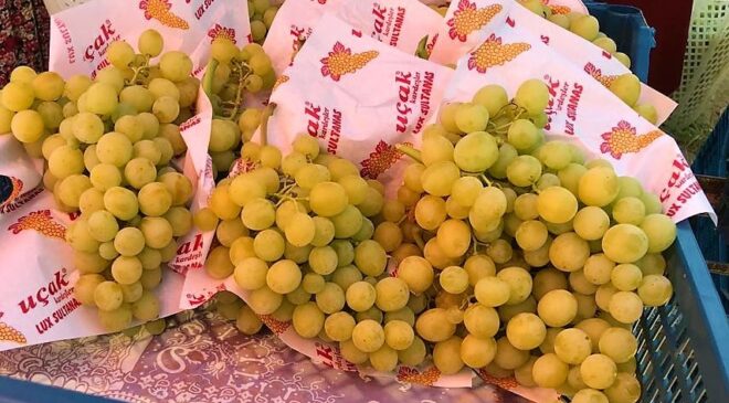 ERKENCİ ÜZÜM ÜRETİCİSİNİN YÜZÜNÜ GÜLDÜRDÜ