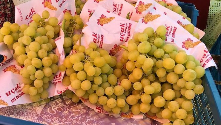 ERKENCİ ÜZÜM ÜRETİCİSİNİN YÜZÜNÜ GÜLDÜRDÜ