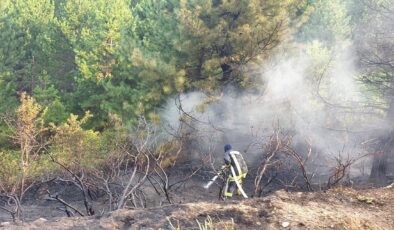 BABADAĞ’DA ORMAN YANGINI BÜYÜMEDEN SÖNDÜRÜLDÜ