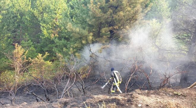 BABADAĞ’DA ORMAN YANGINI BÜYÜMEDEN SÖNDÜRÜLDÜ