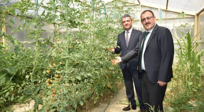 “TARIM SEFERBERLİĞİ SARAYKÖY’DEN BAŞLAYACAK”