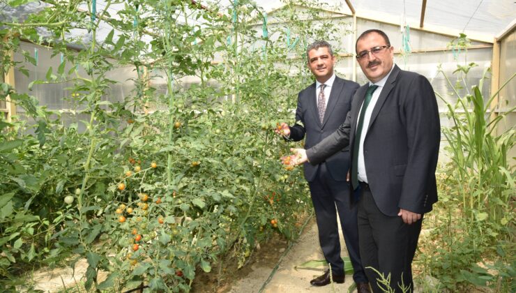 “TARIM SEFERBERLİĞİ SARAYKÖY’DEN BAŞLAYACAK”