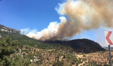 DATÇA’DA ORMAN YANGINI