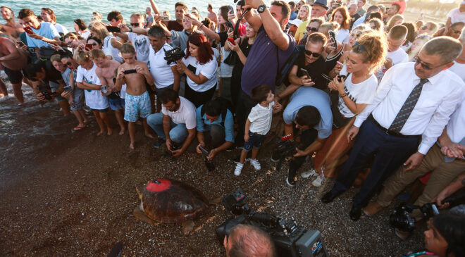TEDAVİSİ TAMAMLANAN ‘LARA BARIŞ’ YENİDEN DENİZ İLE BULUŞTU
