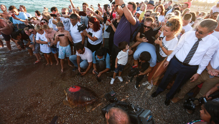 TEDAVİSİ TAMAMLANAN ‘LARA BARIŞ’ YENİDEN DENİZ İLE BULUŞTU