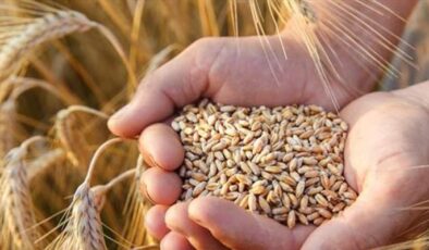 TÜRKİYE KURTARICI OLACAK