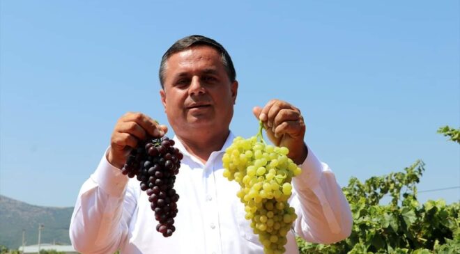 ÇAL BELEDİYESİ’NDEN, ÜRETİCİLERE BİR DESTEK DAHA