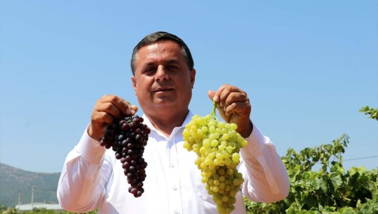 ÇAL BELEDİYESİ’NDEN, ÜRETİCİLERE BİR DESTEK DAHA