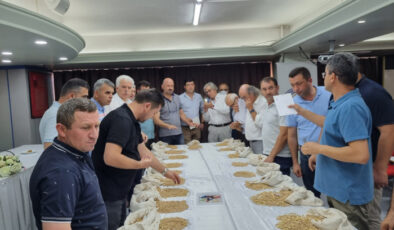 LEBLEBİLİK NOHUT TOHUMLARI DEĞERLENDİRİLDİ