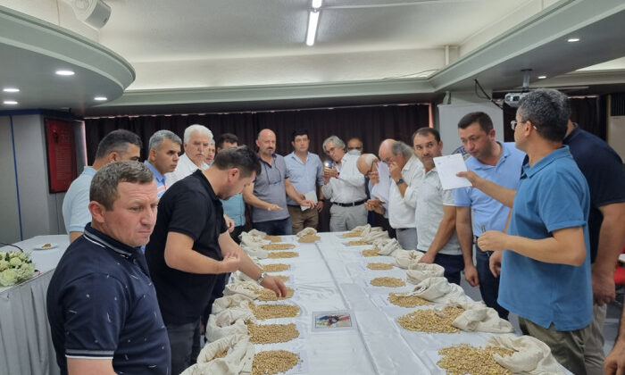 LEBLEBİLİK NOHUT TOHUMLARI DEĞERLENDİRİLDİ