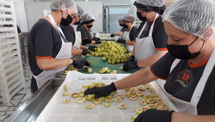 ÜRÜNLERE KATMADEĞER KATIYORLAR