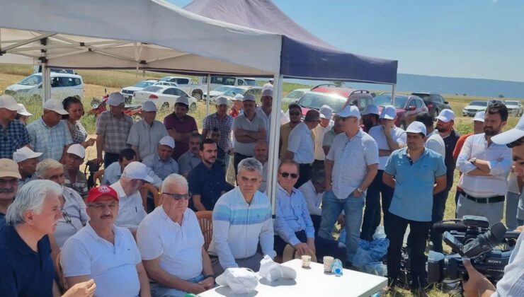 DTB’DEN LEBLEBİLİK NOHUT SORUNUNA ÇÖZECEK PROJE!