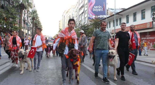 DENİZLİ KINALI KOÇLARLA SÜSLENDİ