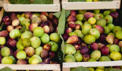 TAZE İNCİR FİYATLARI DÜŞÜYOR