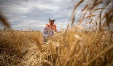 TARIM-ÜFE YILLIK YÜZDE 157,89 ARTTI