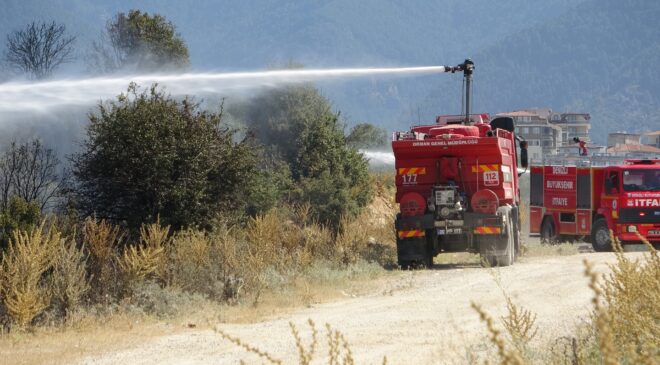 ÖRTÜ YANGININDA ARI KOVANLARI VE AĞAÇLAR KÜLE DÖNDÜ