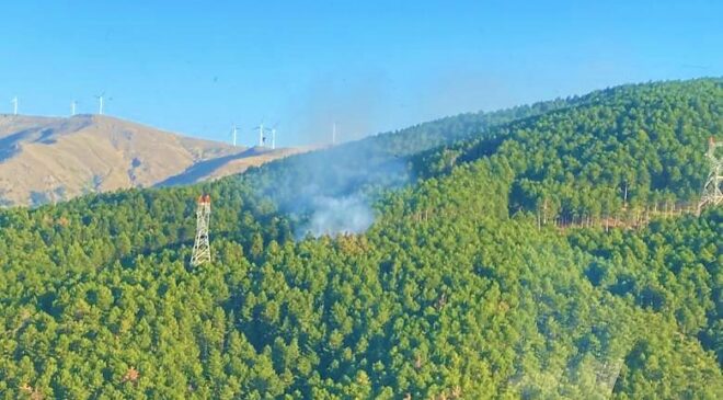 AYNI BÖLGEDE ÇIKAN 2. YANGIN BÜYÜMEDEN SÖNDÜRÜLDÜ