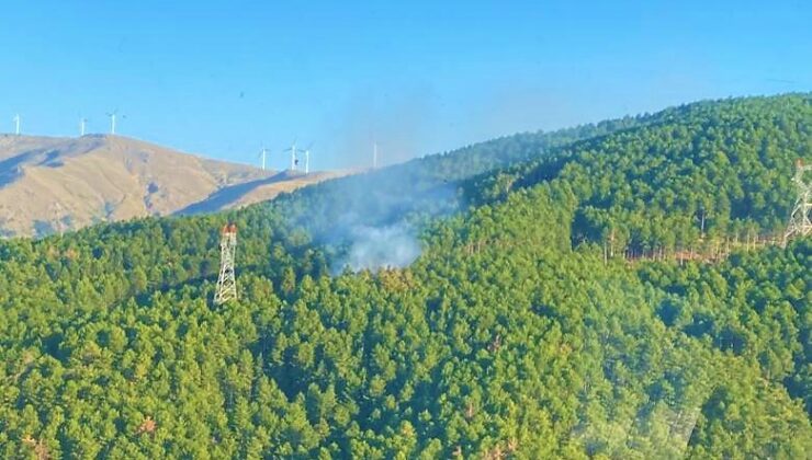AYNI BÖLGEDE ÇIKAN 2. YANGIN BÜYÜMEDEN SÖNDÜRÜLDÜ