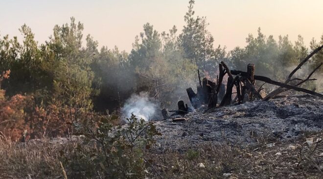 ÖRTÜ YANGINI BÜYÜMEDEN SÖNDÜRÜLDÜ