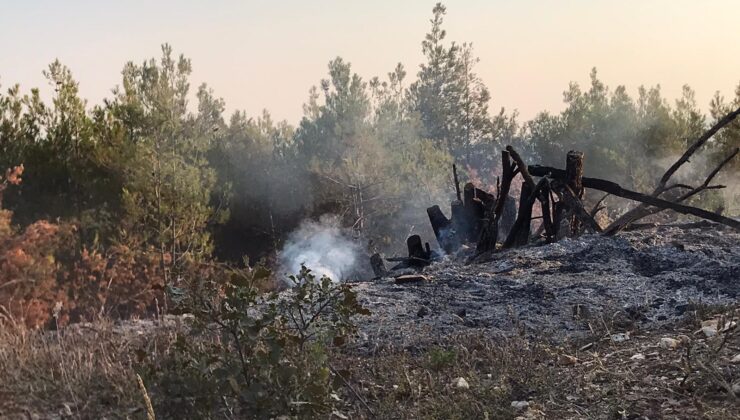 ÖRTÜ YANGINI BÜYÜMEDEN SÖNDÜRÜLDÜ