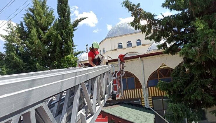 CAMİNİN KUBBESİNDEN UÇAMAYAN LEYLEĞİ İTFAİYE KURTARDI