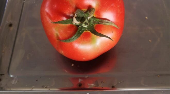 GÖREN BİR DAHA BAKIYOR