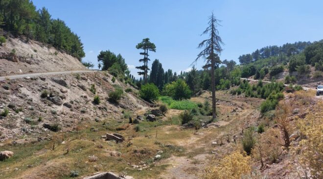GÖLET ÇAMELİ’YE CAN SUYU OLACAK