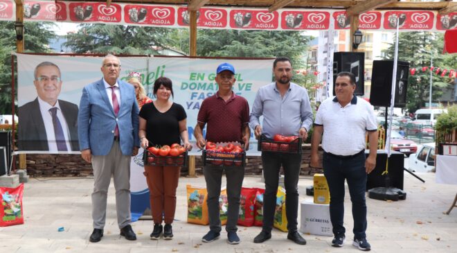 Çameli’nde buzağı, domates ve fasulyenin en güzelleri seçildi