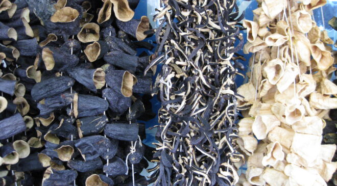 KIŞ HAZIRLIKLARI BAŞLADI