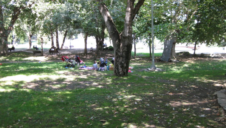 VATANDAŞLAR PARKLARA AKIN ETTİ