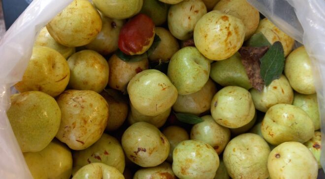 HÜNNAP DEYİP GEÇMEYİN!