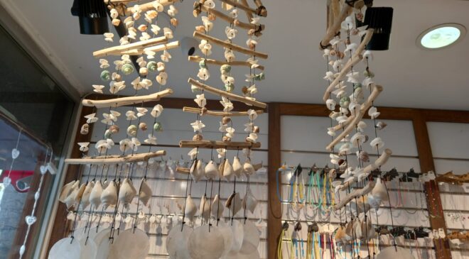 DENİZ KABUKLARI SANATA DÖNÜŞÜYOR