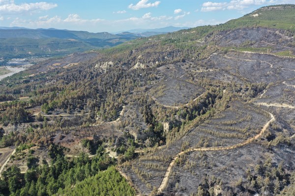 YANAN ALAN AĞAÇLANDIRILACAK