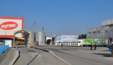 AYNES GIDA RESMEN SATILDI