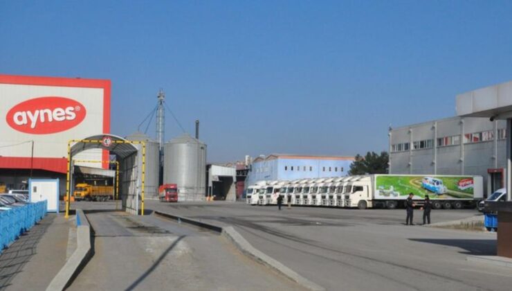 AYNES GIDA RESMEN SATILDI