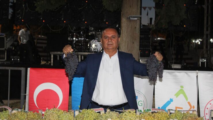 EN İYİ ÜZÜMÜ YETİŞTİRENLER ALTINI KAPACAK