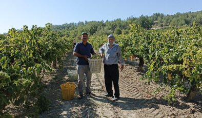 ELMACI DEDE MEHMETÇİĞE ÜZÜM GÖTÜRDÜ
