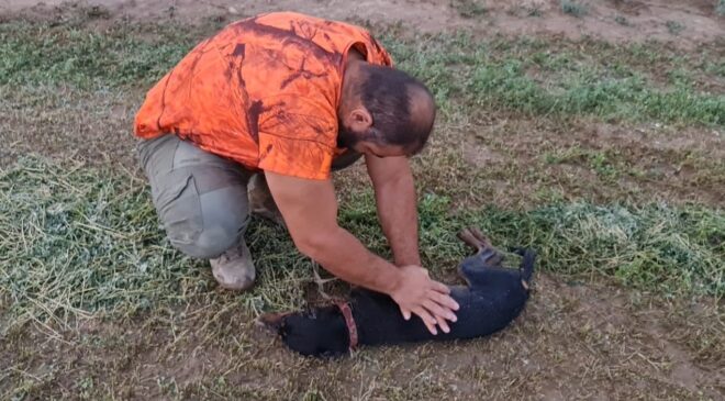 AVCI CAN DOSTU KÖPEĞİNİ KALP MASAJI YAPARAK HAYATA DÖNDÜRDÜ