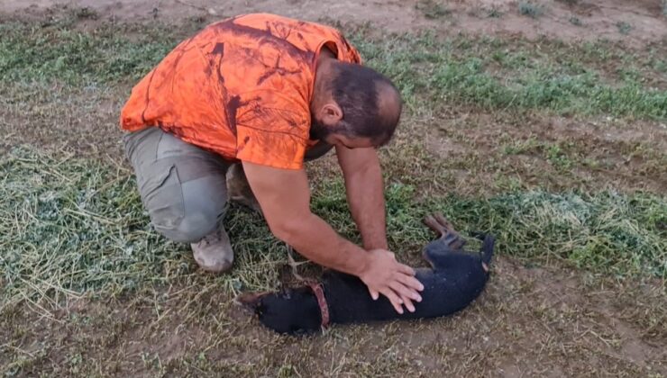 AVCI CAN DOSTU KÖPEĞİNİ KALP MASAJI YAPARAK HAYATA DÖNDÜRDÜ