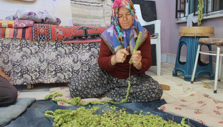 Kurusu yaşından 4 kat daha pahalı