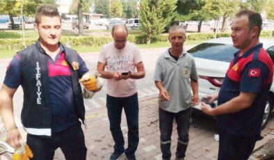 Yavru kedi uzun uğraşlar sonucu araç altından çıkarıldı